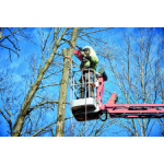 Акумулаторен верижен трион Milwaukee 40 cm, M18FCHS-121