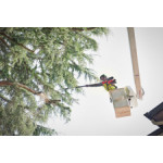Телескопичен трион MILWAUKEE M18 FTPS30-121, 4933480869