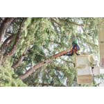 Телескопичен трион MILWAUKEE M18 FTPS30-121, 4933480869