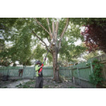 Телескопичен трион MILWAUKEE M18 FTPS30-121, 4933480869